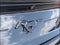 2023 Ford Mustang EcoBoost